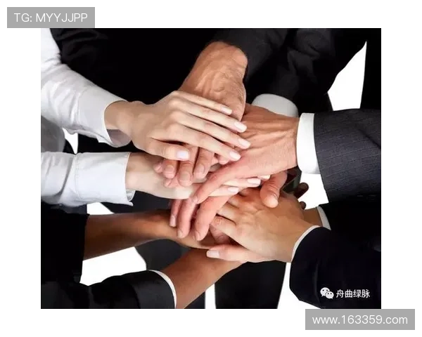 聚焦排球：探讨北京排球队在意识形态与团队文化建设中的重要性与影响