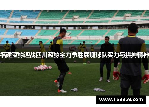 福建蓝鲸迎战四川蓝鲸全力争胜展现球队实力与拼搏精神
